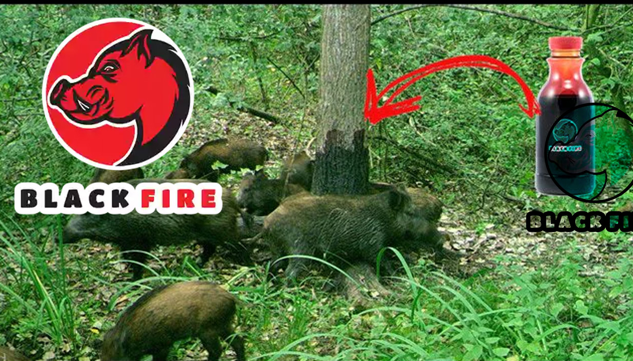 Black Fire