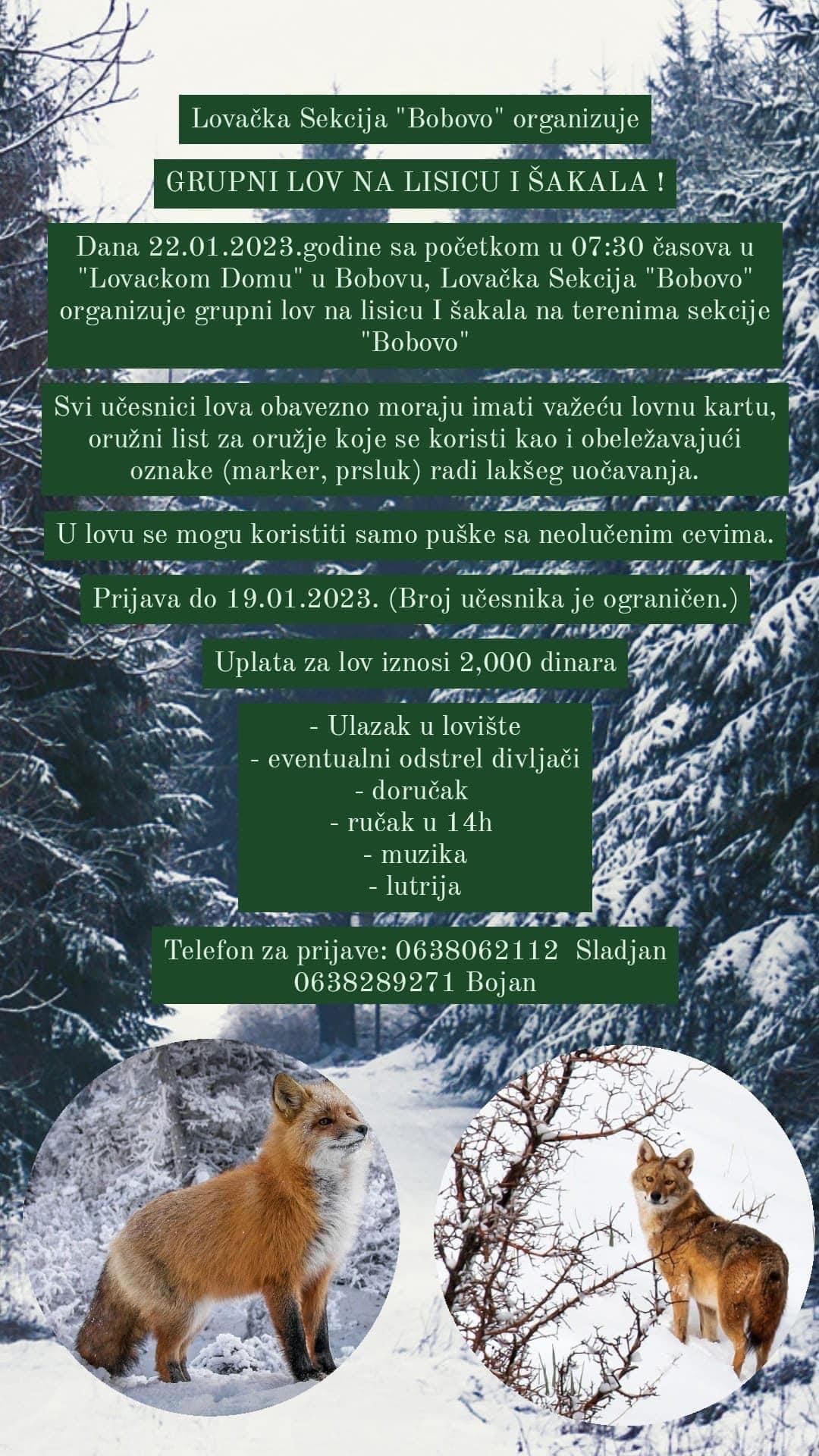 Grupni lov na lisicu i šakala 22.01.2023