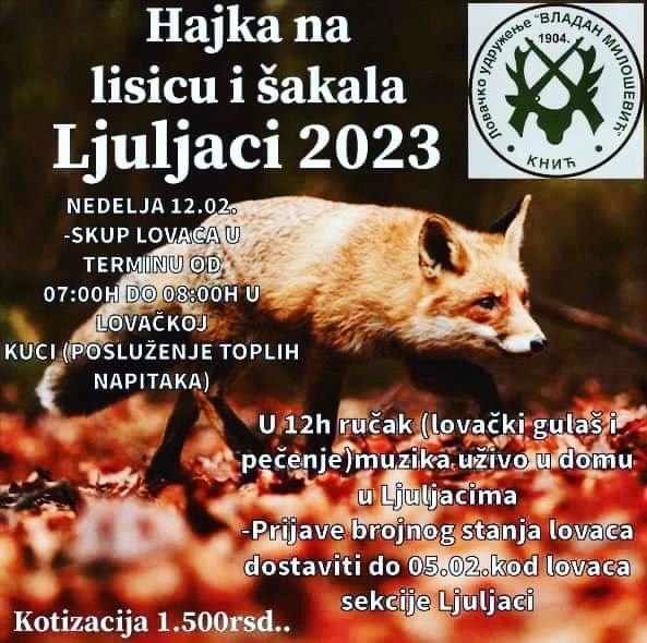 Hajka na lisicu i šakala - Ljuljaci 12.02.2023