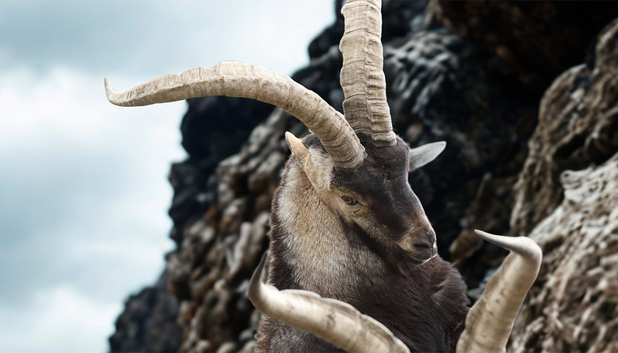 Španija – Lovna destinacija za ozbiljne lovce