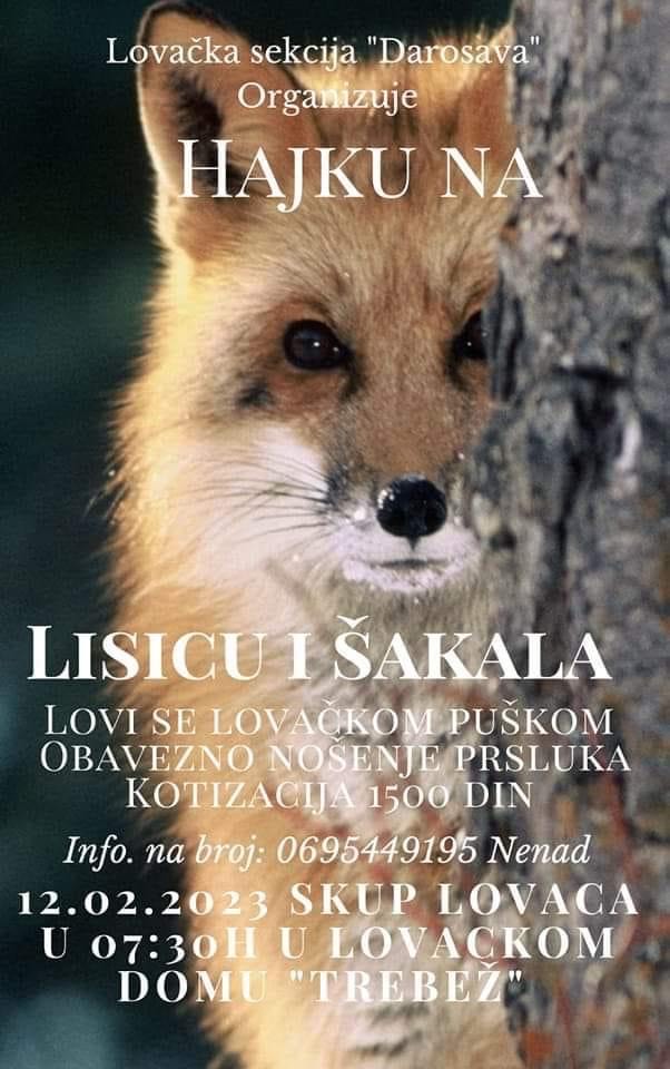 Lovačka sekcija Darosava organizuje hajku na lisicu i šakala 12.02.2023.