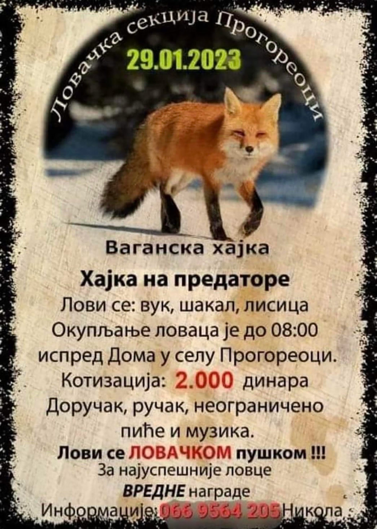 Vaganska hajka 29.01.2023.