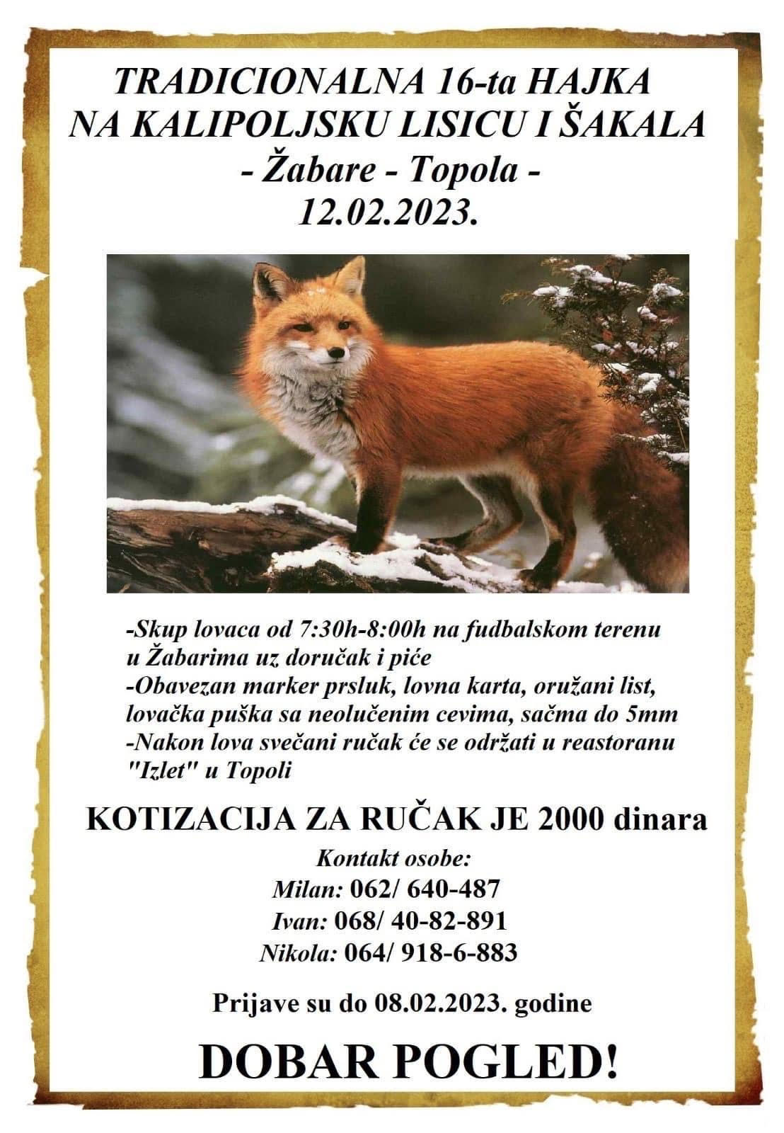 hajkanakalipoljskulisicu