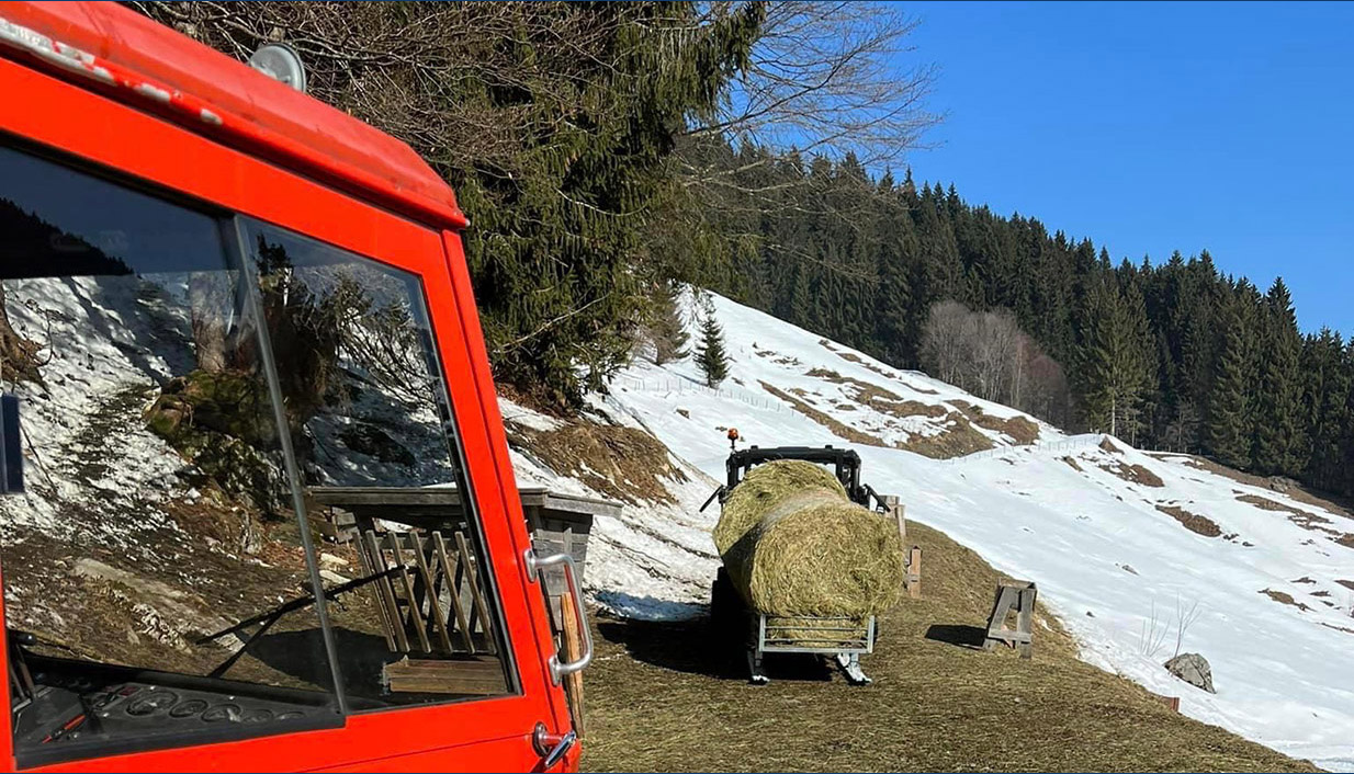u-ocekivanju-zime-divljac-se-oslanja-na-lovce01